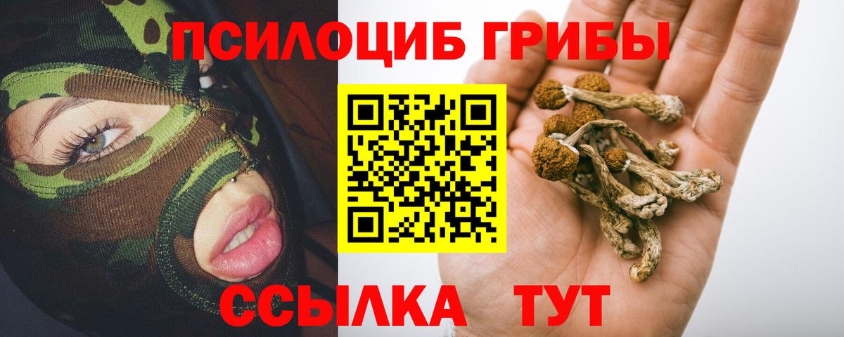 Галлюциногенные грибы Magic Shrooms  Галлюциногенные грибы ЛСД  Вход с VPN  Нурлат 